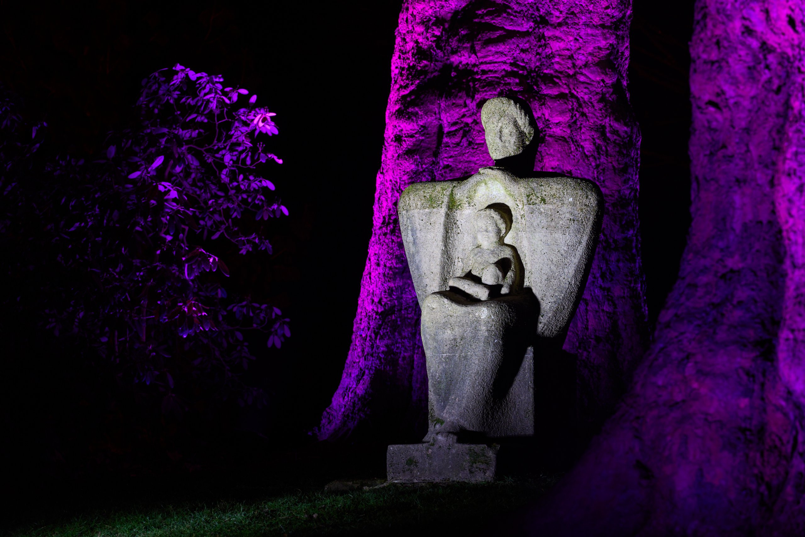 2025 02 04 Parkleuchten 0078